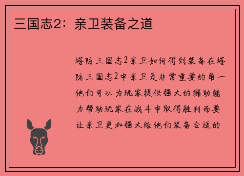三国志2：亲卫装备之道
